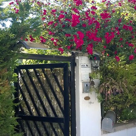 B&B Mare E Sole Brindisi Zewnętrze zdjęcie