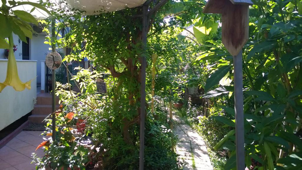 B&B Mare E Sole Brindisi Zewnętrze zdjęcie