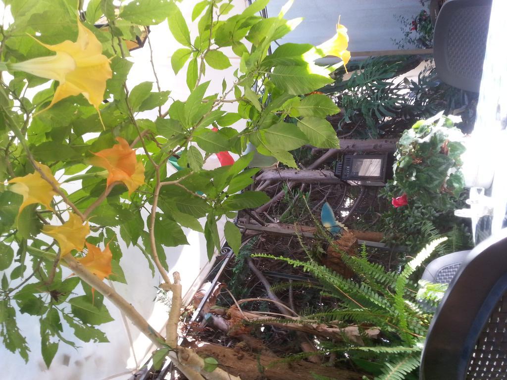 B&B Mare E Sole Brindisi Zewnętrze zdjęcie