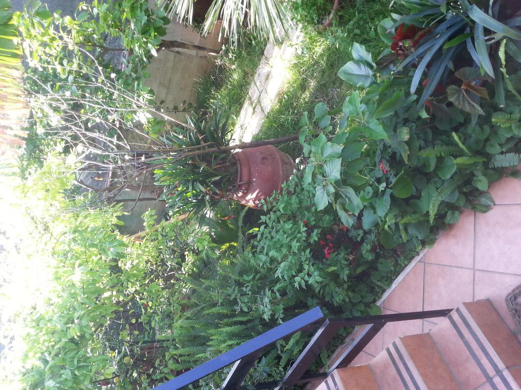 B&B Mare E Sole Brindisi Zewnętrze zdjęcie
