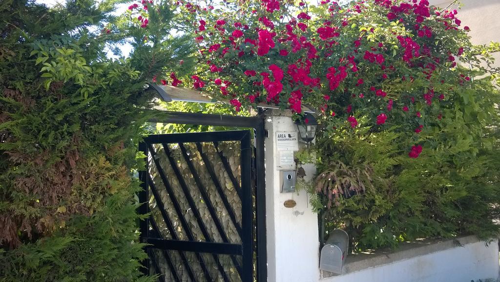 B&B Mare E Sole Brindisi Zewnętrze zdjęcie